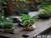 北京翼趣科技有限公司