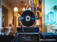北京翼趣科技有限公司