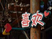 北京翼趣科技有限公司