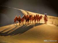 北京翼趣科技有限公司