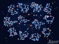 北京翼趣科技有限公司