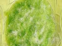 北京翼趣科技有限公司