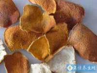 北京翼趣科技有限公司