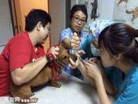 北京翼趣科技有限公司