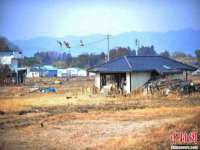 北京翼趣科技有限公司