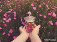 北京翼趣科技有限公司