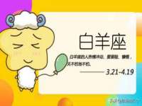 北京翼趣科技有限公司