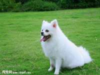北京翼趣科技有限公司