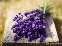 北京翼趣科技有限公司