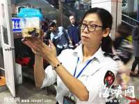 北京翼趣科技有限公司