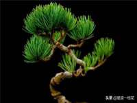 北京翼趣科技有限公司