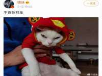 北京翼趣科技有限公司
