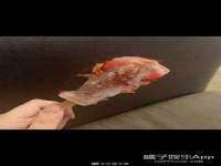 北京翼趣科技有限公司